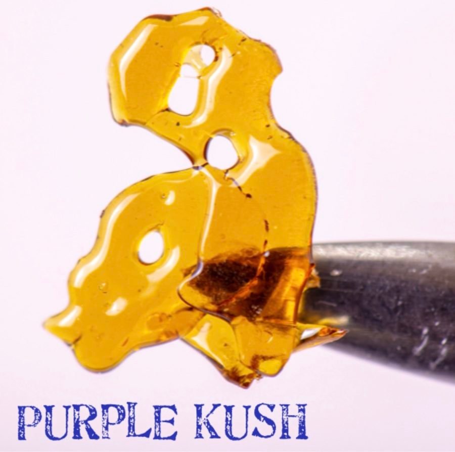 Purple Kush - SHATTER 1 GRAM - Indica