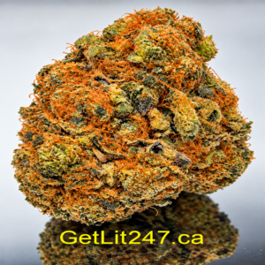 "Premium" Acapulco Gold - Hybrid 50% Sativa / 50% Indica - THC 29-32%