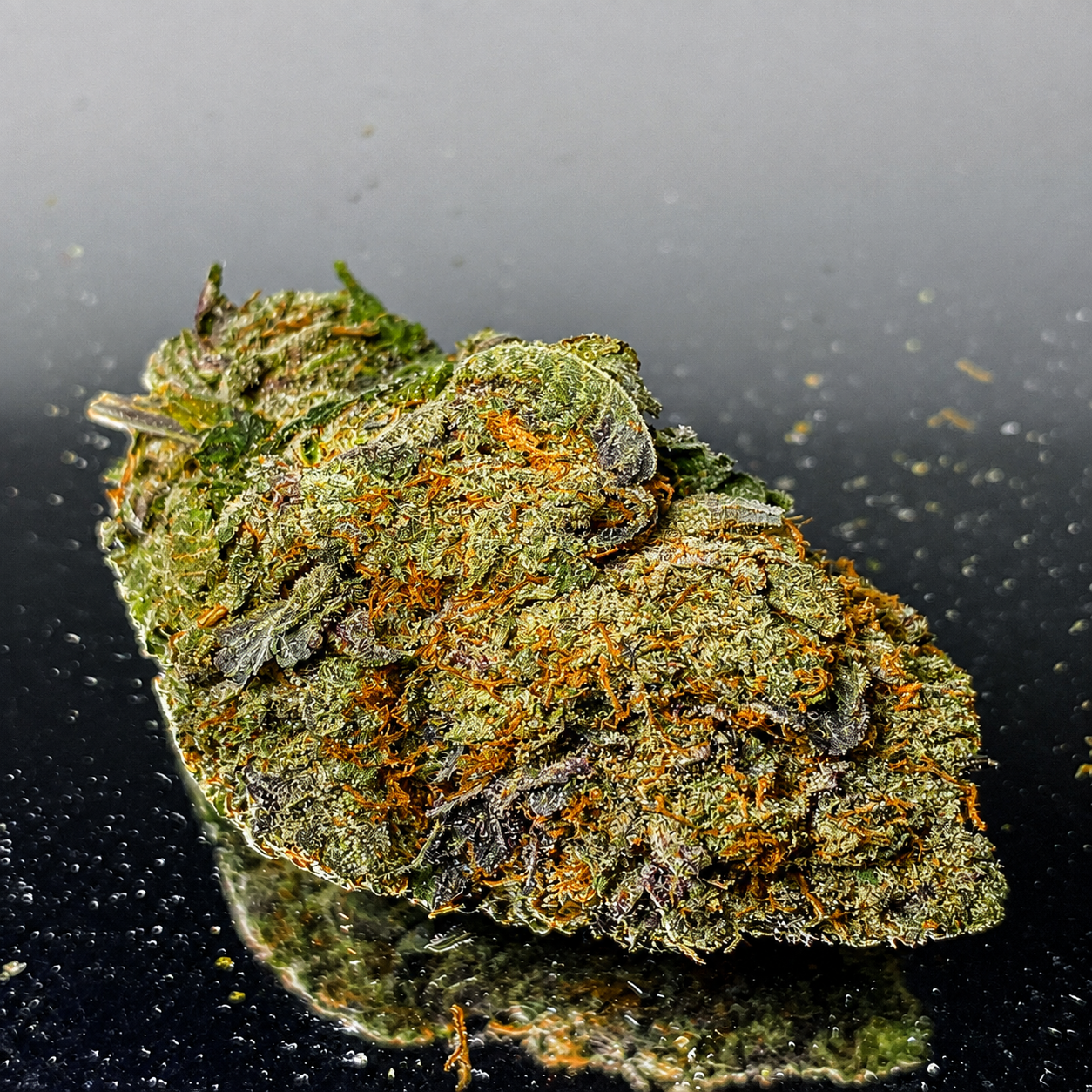 NYC diesel