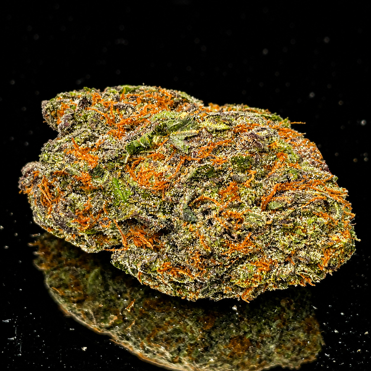 canna berry