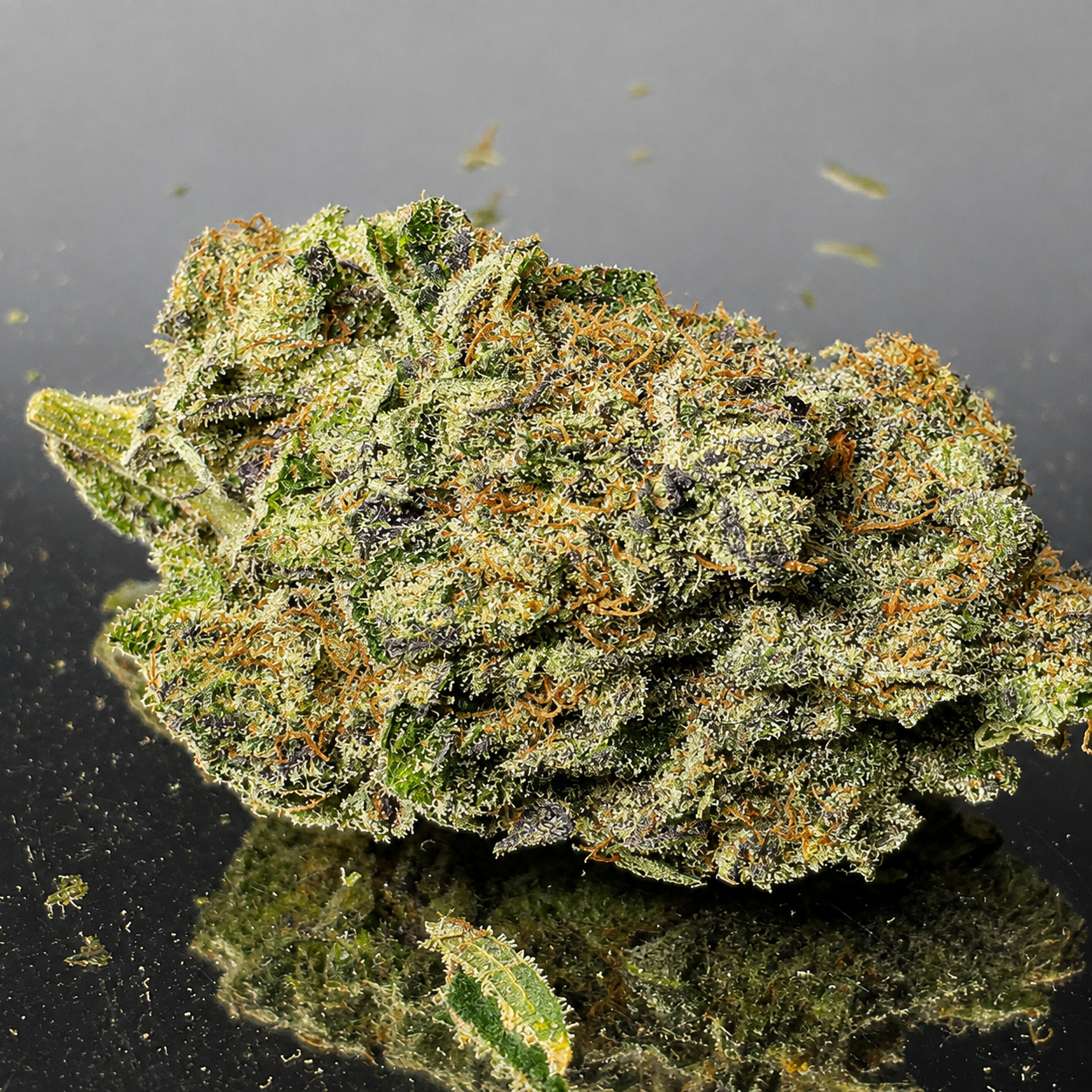 grandaddy og
